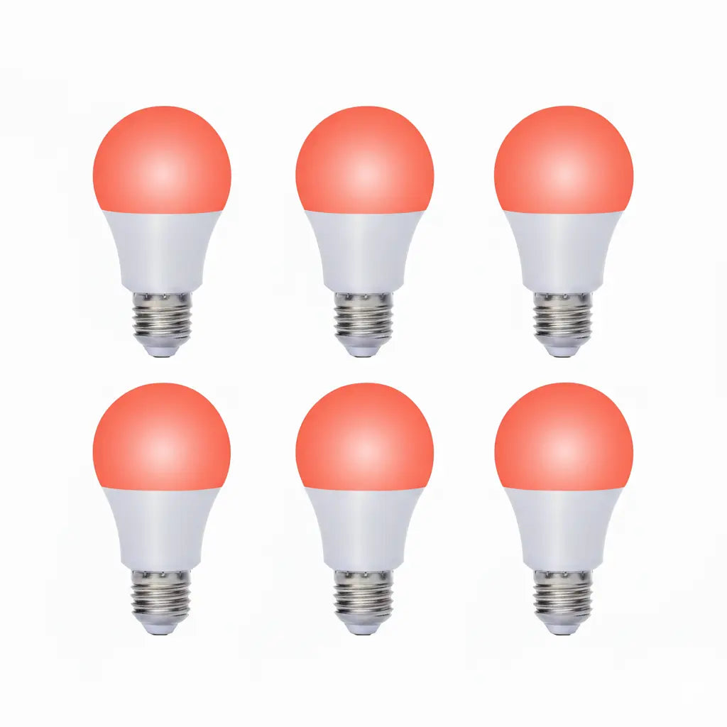 Ampoules Ruby Light (paquet)