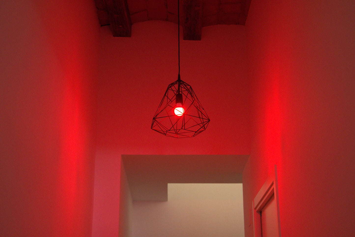 Ruby Light Bulbs (Pack)