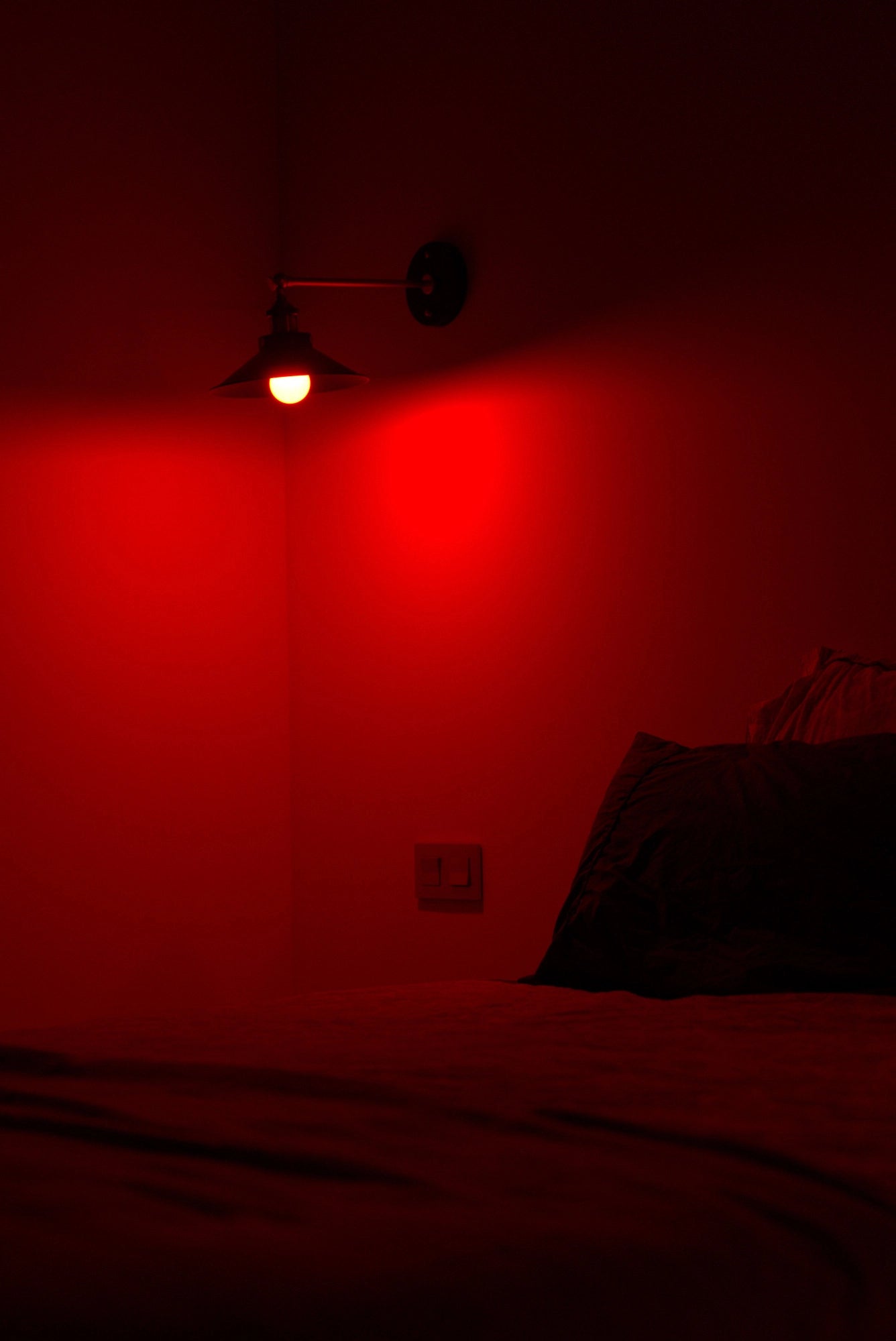 Ruby Light Bulbs (Pack)