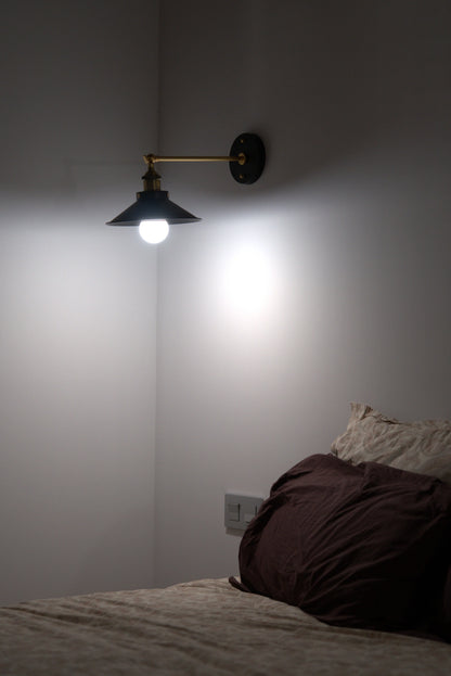 Full Spectrum Bulbs (Pack)