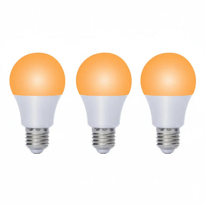 Amber Light Bulbs (Pack)