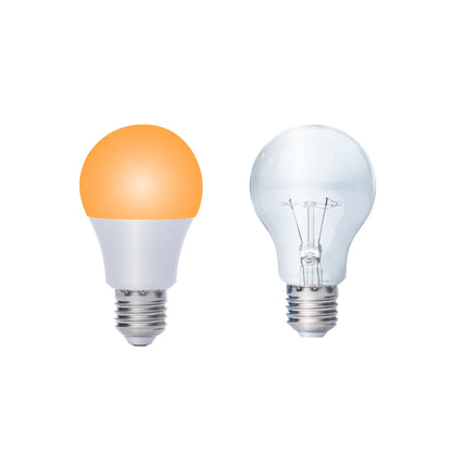 Amber Light Bulbs (Pack)