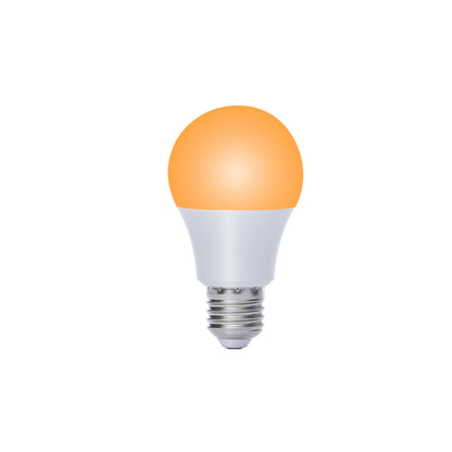 Amber Light Bulbs (Pack)