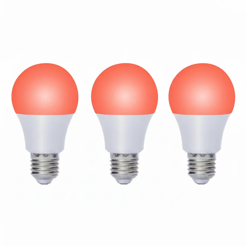 Ruby Light Bulbs (Pack)