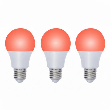Ruby Light Bulbs (Pack)