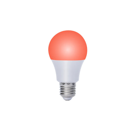 Ruby Light Bulbs (Pack)