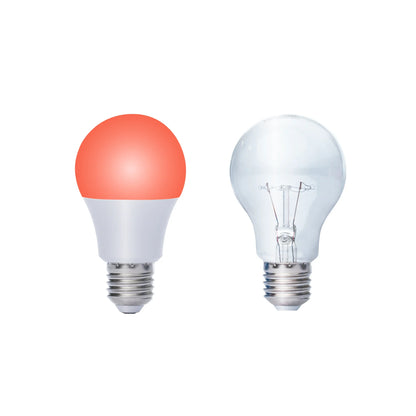 Ruby Light Bulbs (Pack)