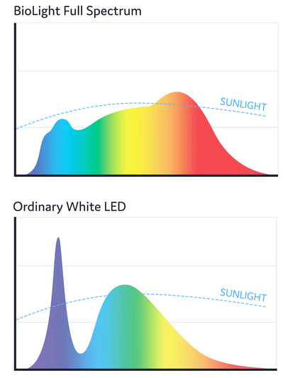 Full Spectrum Bulbs (Pack)